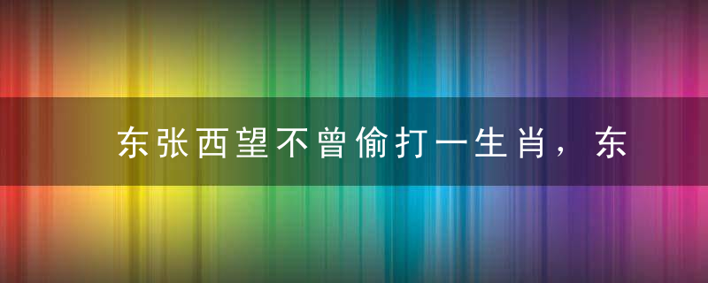 东张西望不曾偷打一生肖，东张西望不曾偷是什么生肖快速解答