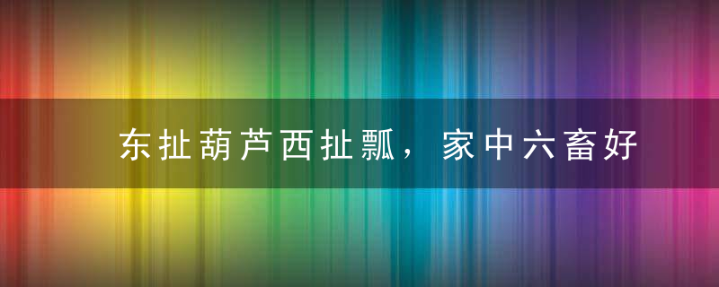 东扯葫芦西扯瓢，家中六畜好特肖打一生肖《许昌疫情防控正在》