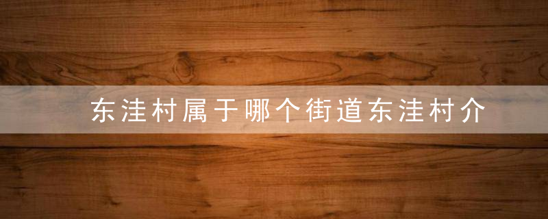 东洼村属于哪个街道东洼村介绍，南洼村属于哪个镇