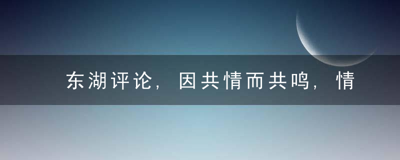 东湖评论,因共情而共鸣,情怀蕞是抚人心,近日最新