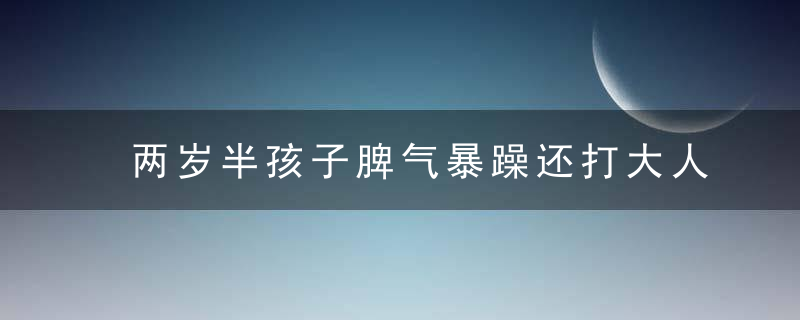 两岁半孩子脾气暴躁还打大人 两岁半孩子脾气暴躁还打大人的方法