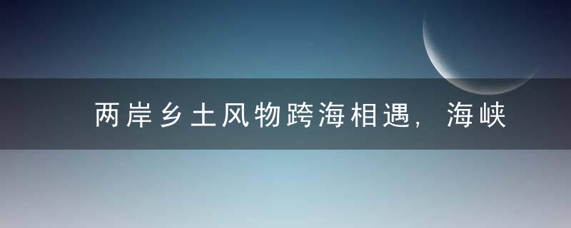 两岸乡土风物跨海相遇,海峡青年同心助力乡村振兴