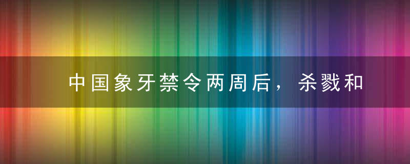 中国象牙禁令两周后，杀戮和买卖真的消失了吗