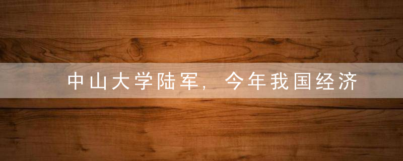 中山大学陆军,今年我国经济有很多机会