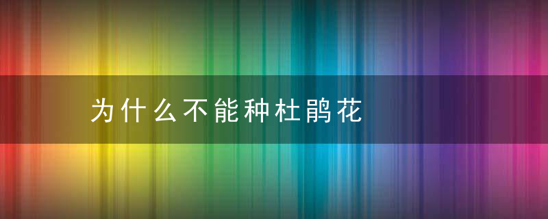 为什么不能种杜鹃花