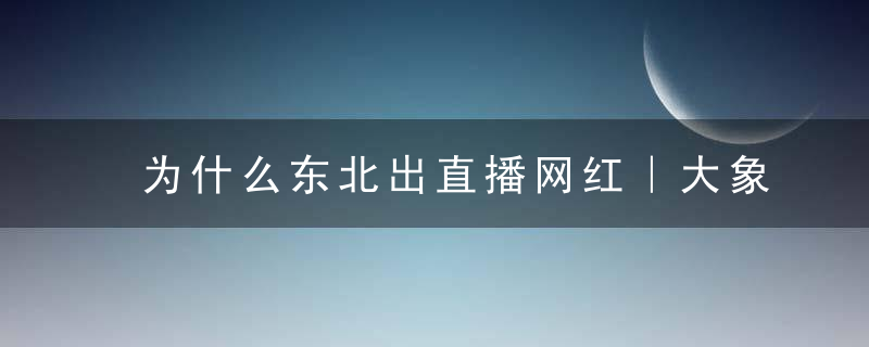 为什么东北出直播网红｜大象公会