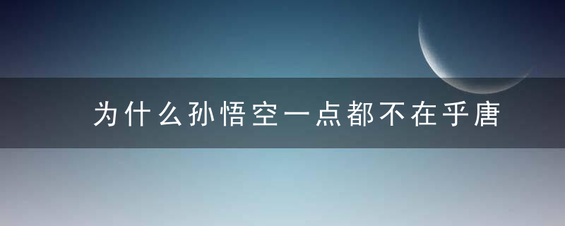 为什么孙悟空一点都不在乎唐僧的死活?真相令人意外!