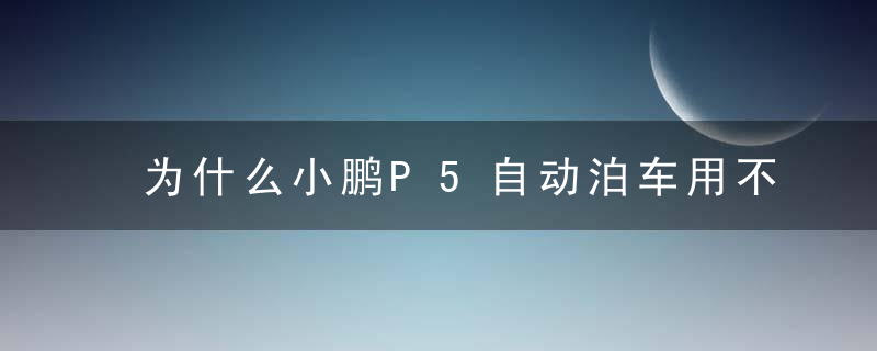 为什么小鹏P5自动泊车用不了