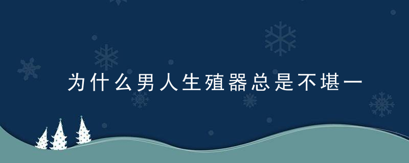 为什么男人生殖器总是不堪一击