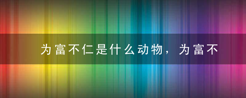 为富不仁是什么动物，为富不仁指什么生肖，开封疫情防控政策升级