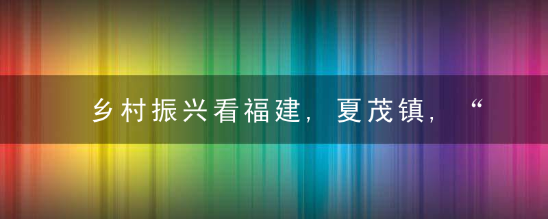 乡村振兴看福建,夏茂镇,“沙县小吃”的产业共富路