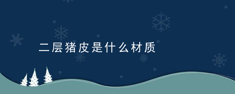 二层猪皮是什么材质