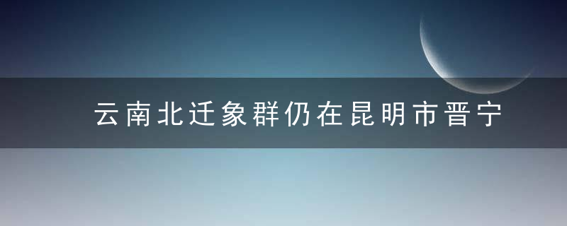 云南北迁象群仍在昆明市晋宁区活动 向西南迁移6.6公里