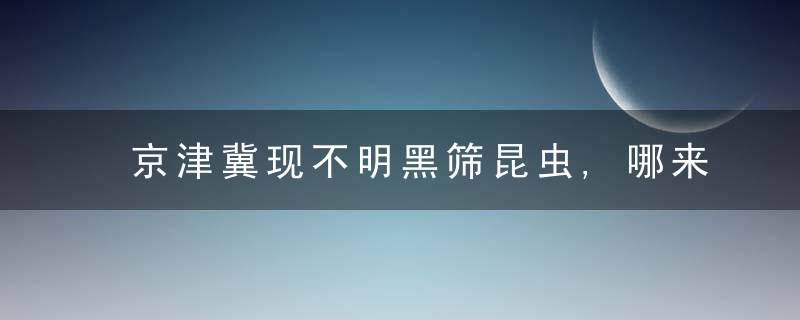 京津冀现不明黑筛昆虫,哪来的有害吗