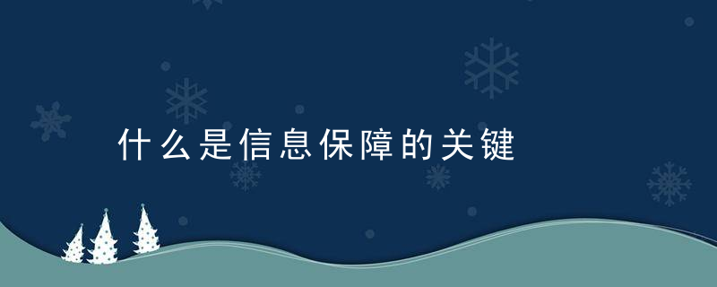 什么是信息保障的关键