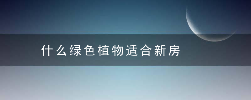 什么绿色植物适合新房