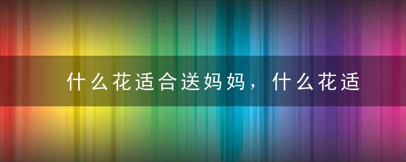 什么花适合送妈妈，什么花适合送妈妈的生日