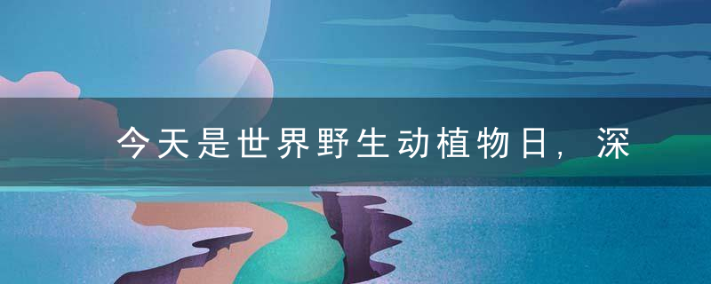 今天是世界野生动植物日,深圳这些动植物你知道吗,今