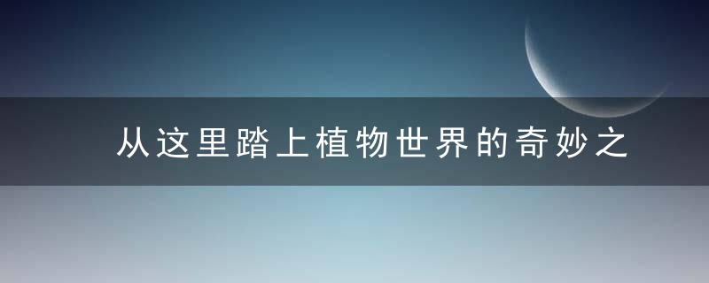 从这里踏上植物世界的奇妙之旅