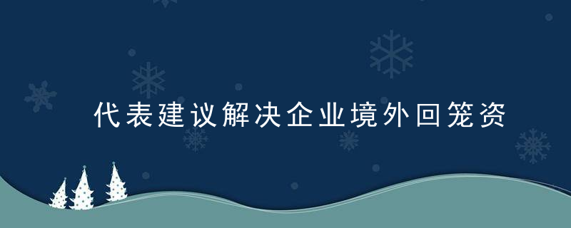 代表建议解决企业境外回笼资金困难,浙江浦江,整改滥用
