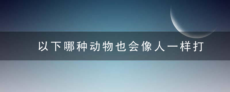 以下哪种动物也会像人一样打喷嚏？