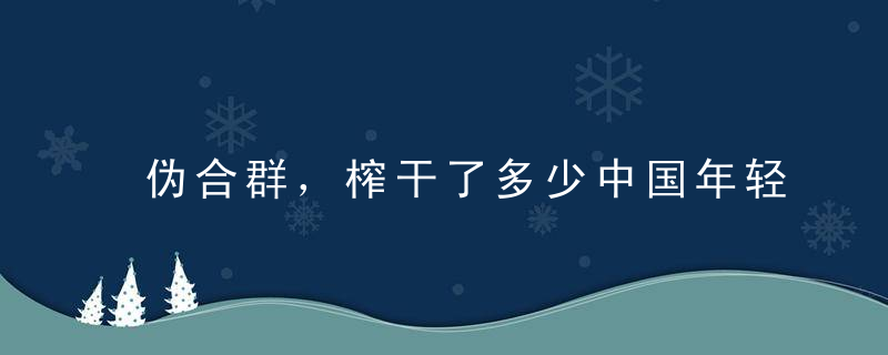 伪合群，榨干了多少中国年轻人