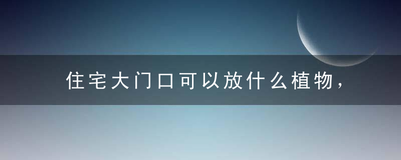 住宅大门口可以放什么植物，住宅门口适合放什么植物