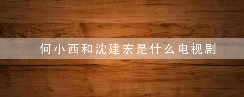 何小西和沈建宏是什么电视剧 何小西和沈建宏由谁饰演