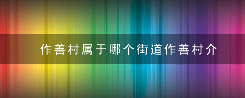 作善村属于哪个街道作善村介绍，善河村怎么样