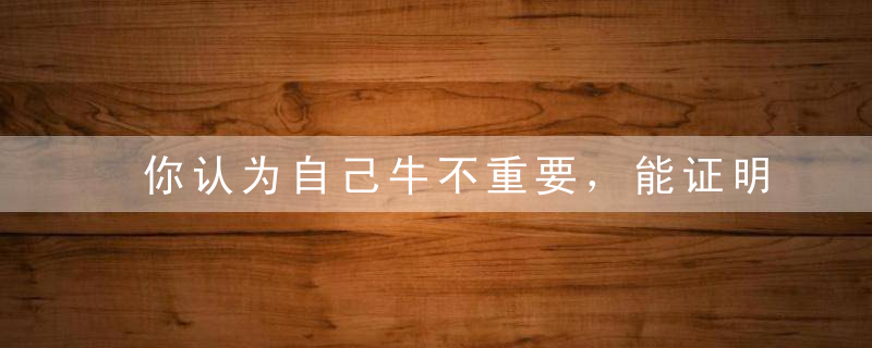 你认为自己牛不重要，能证明自己牛才重要