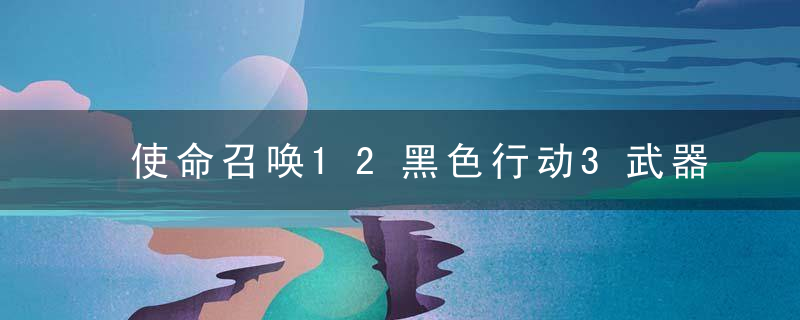 使命召唤12黑色行动3武器介绍(使命召唤12各类武器详细介绍)