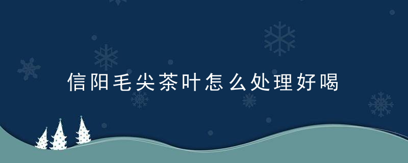 信阳毛尖茶叶怎么处理好喝