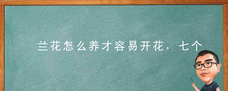 兰花怎么养才容易开花，七个步骤让你的兰花又好看又香