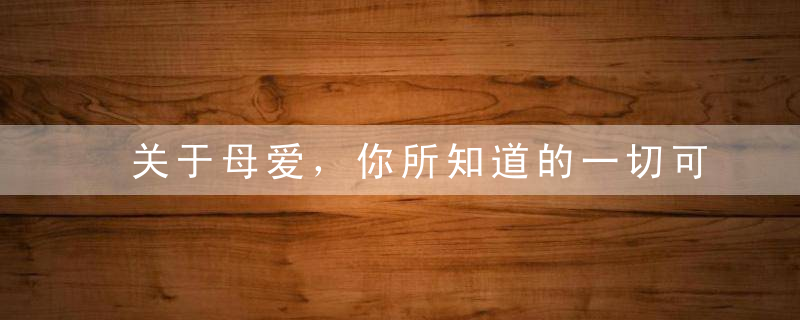 关于母爱，你所知道的一切可能都是错的
