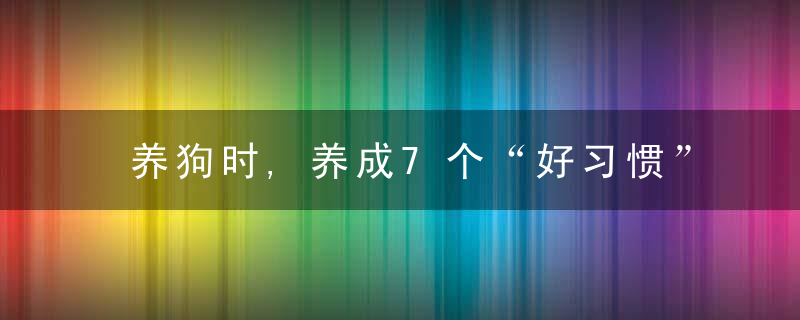 养狗时,养成7个“好习惯”,对她对你都好,近日最新