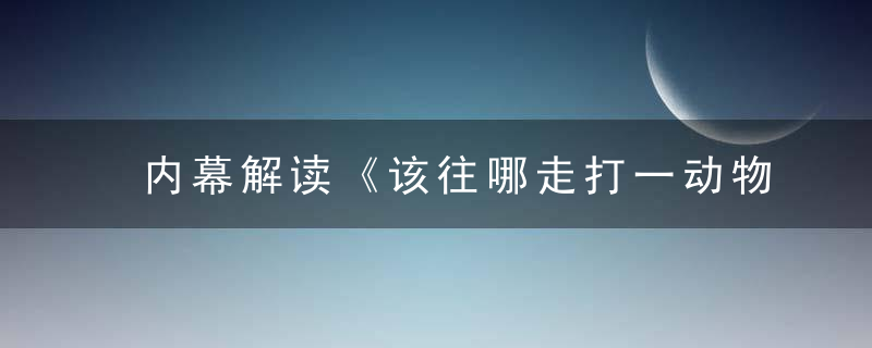 内幕解读《该往哪走打一动物生肖》有什么含义指什么动物