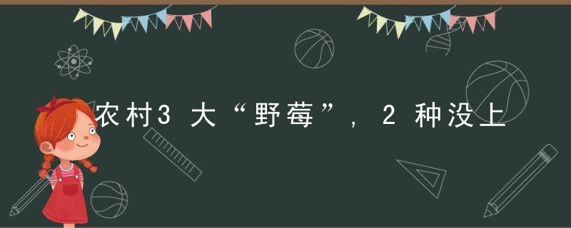 农村3大“野莓”,2种没上正道,一种逐年滞销,你吃过