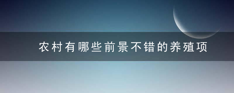 农村有哪些前景不错的养殖项目