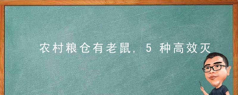 农村粮仓有老鼠,5种高效灭鼠方法分享,哪种效果更好