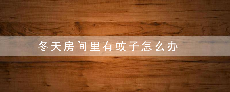 冬天房间里有蚊子怎么办