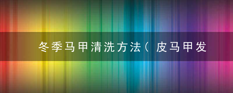 冬季马甲清洗方法(皮马甲发霉了怎么清洗)