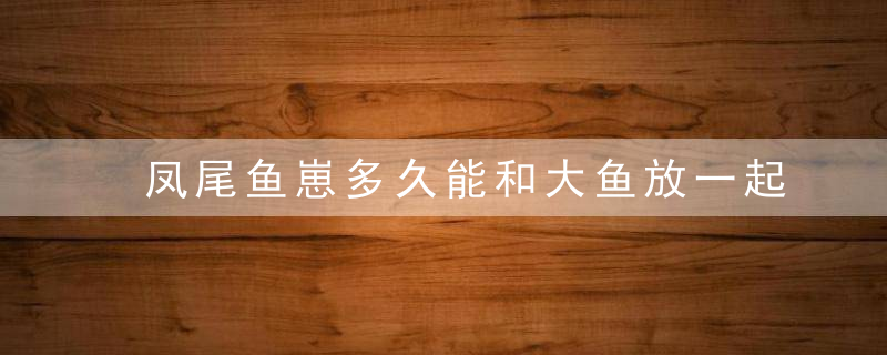 凤尾鱼崽多久能和大鱼放一起养 凤尾鱼崽需要多久才能和大鱼放一起养呢