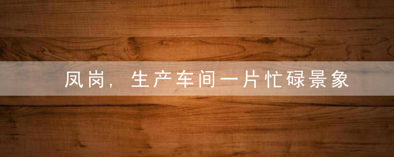 凤岗,生产车间一片忙碌景象,近日最新