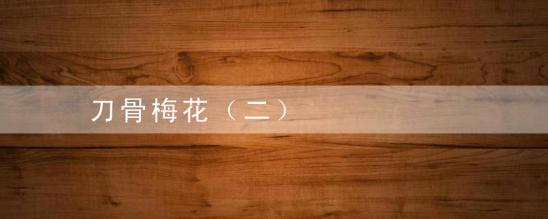 刀骨梅花（二）