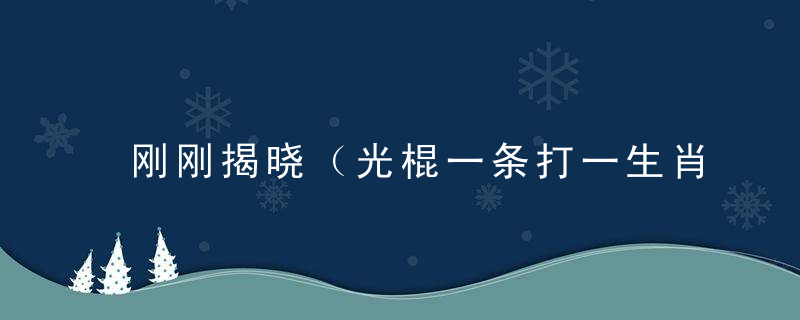 刚刚揭晓（光棍一条打一生肖）是什么生肖光棍一条打一动物