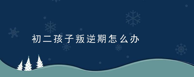 初二孩子叛逆期怎么办