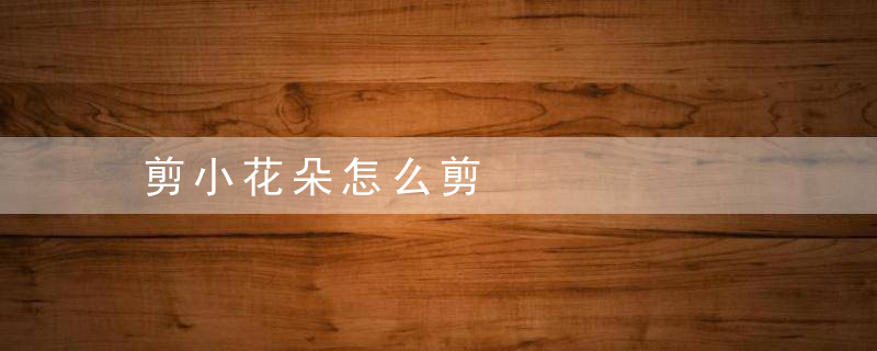 剪小花朵怎么剪