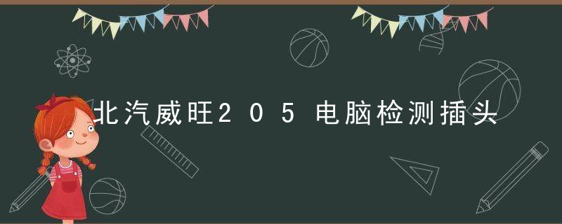 北汽威旺205电脑检测插头在哪