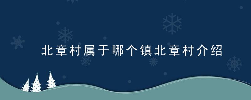 北章村属于哪个镇北章村介绍，北章客村属于哪个镇