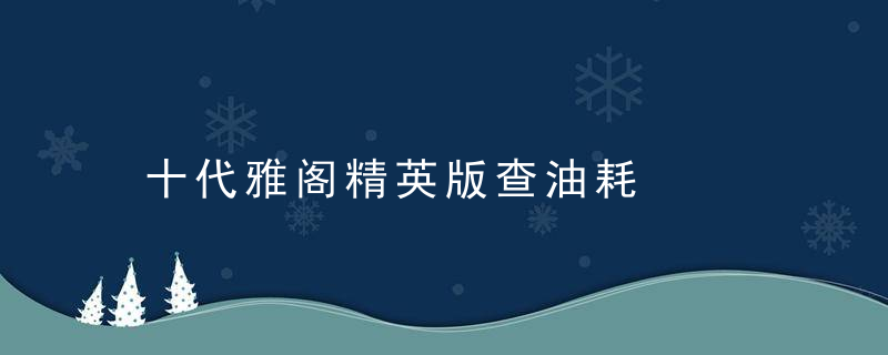 十代雅阁精英版查油耗